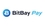 BitBay Pay